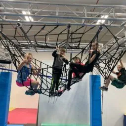 Altitude Movement - open gym