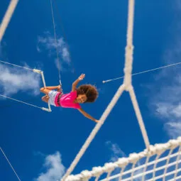 Fly Mile High Trapeze - 2hr. class