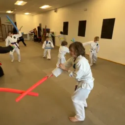 Dojo Source - ninja night, camp, or birthday
